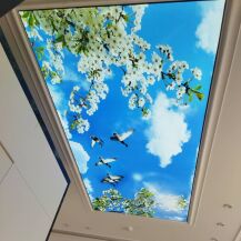 سقف کشسان ارومیه 