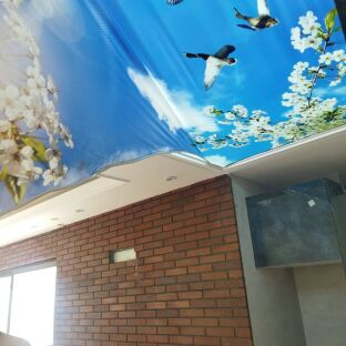 سقف کشسان ارومیه 